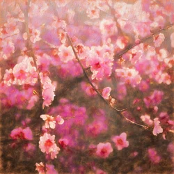Spring Sprung